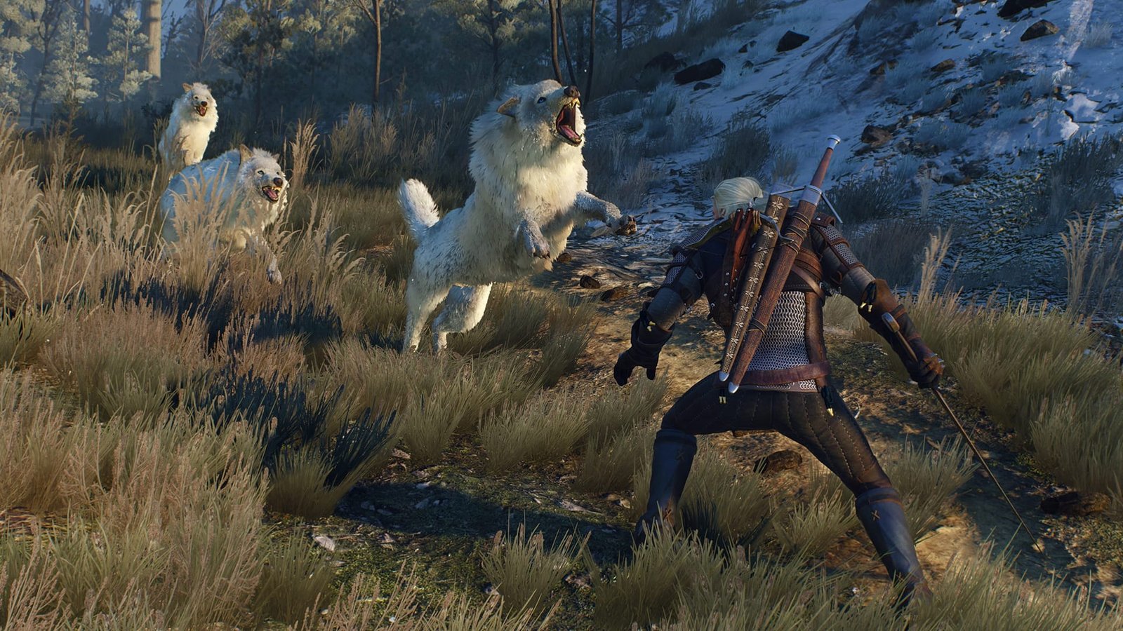 The Witcher 3: Wild Hunt is One of the Best Open World Games of All Time
